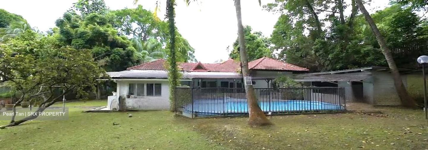 Leedon Park (D10), Detached #476707791